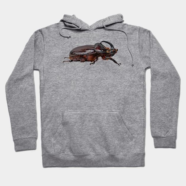 Rhino Beetle Hoodie by InsecTees by Dom Lever